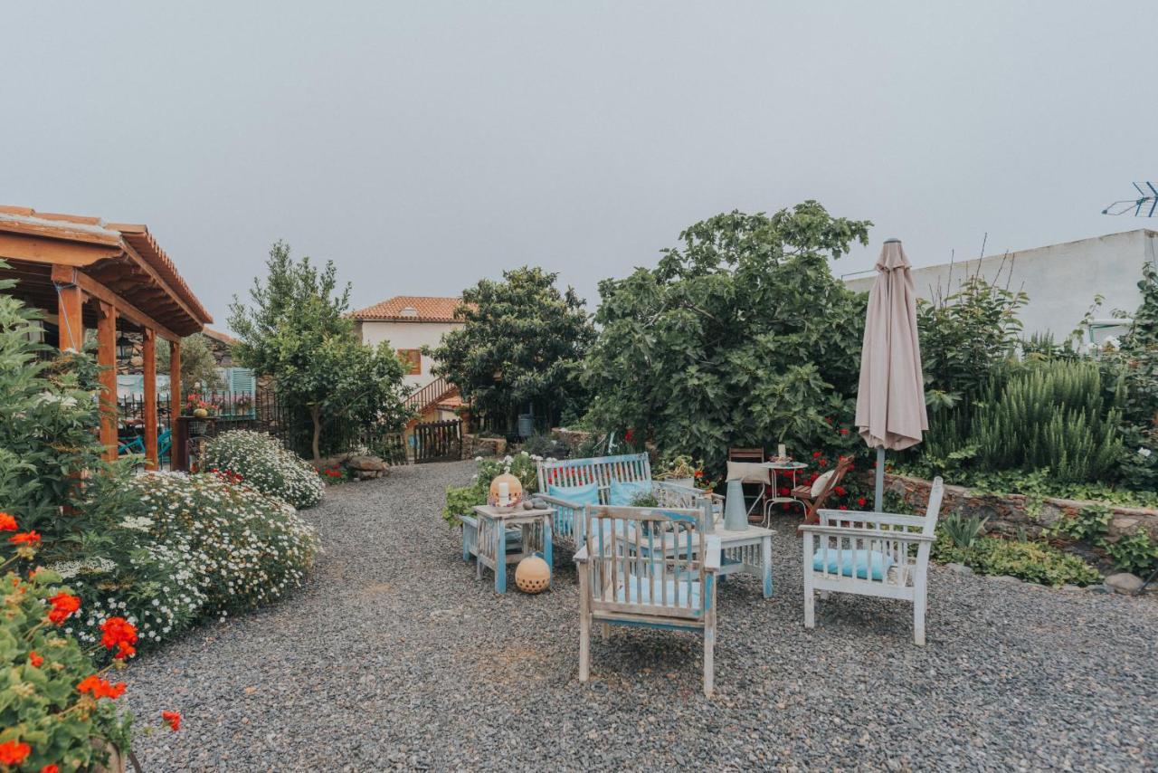 Casa Jacinta Con Jacuzzi Guest House Costa Adeje  Exterior photo